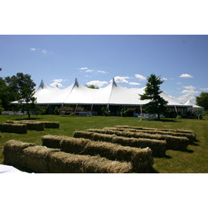 Anchor 40' x 100' Century Tent