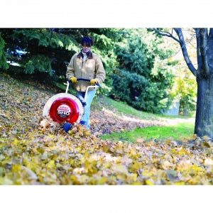 Little Wonder 5HP Blower