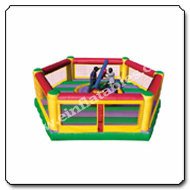 Gladiator Joust And Boxing Ring Combo Inflatable Game
