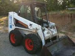 Bobcat